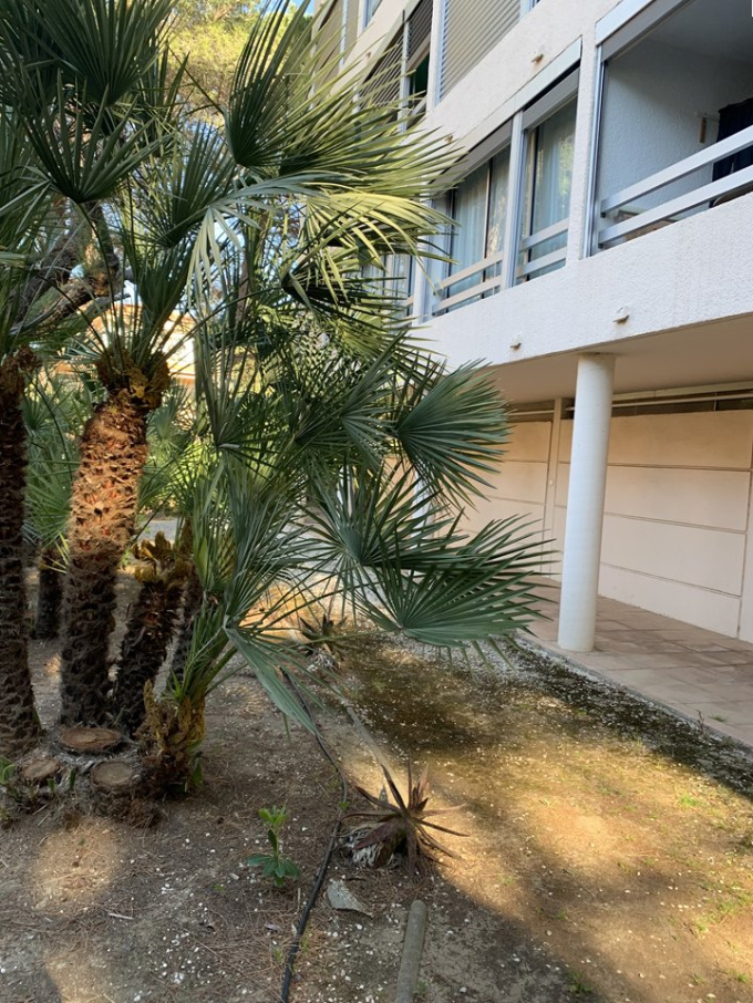 Location de vacances Appartement Hyères (83400)