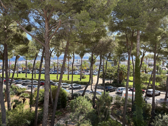 Offres de vente Appartement Hyeres plage (83400)