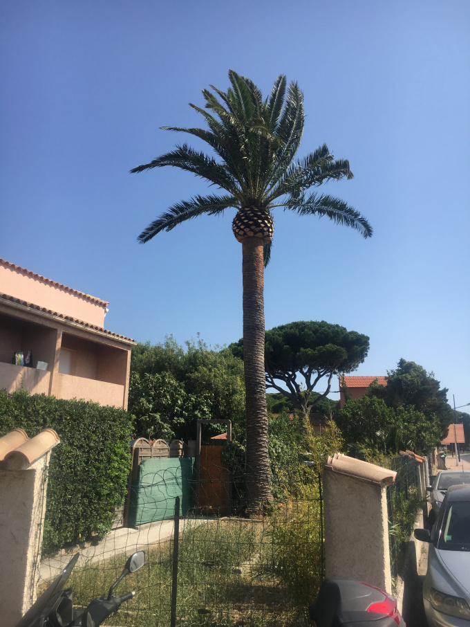 Offres de location Triplex Hyeres plage (83400)
